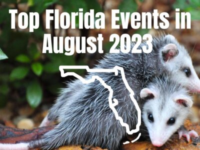 14 Top Florida Events in August 2024