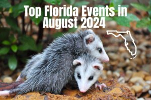 Top Florida Events in August 2024