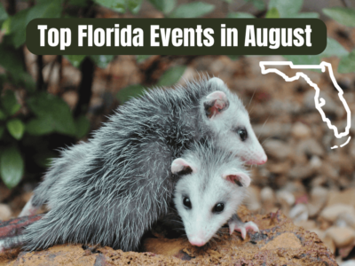 Top Florida Events in August