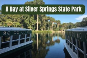 A Day at Silver Springs State Park glass bottom boat tour