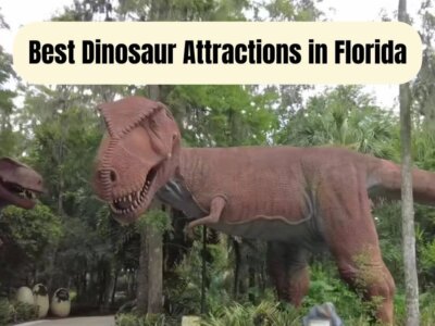 17 Best Dinosaur Attractions in Florida