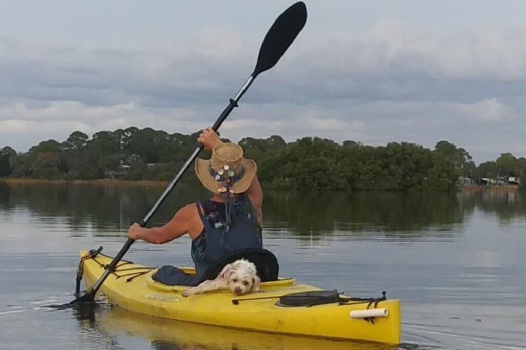 21 Best Places to Find Sand Dollars in Florida (2024) • Authentic Florida