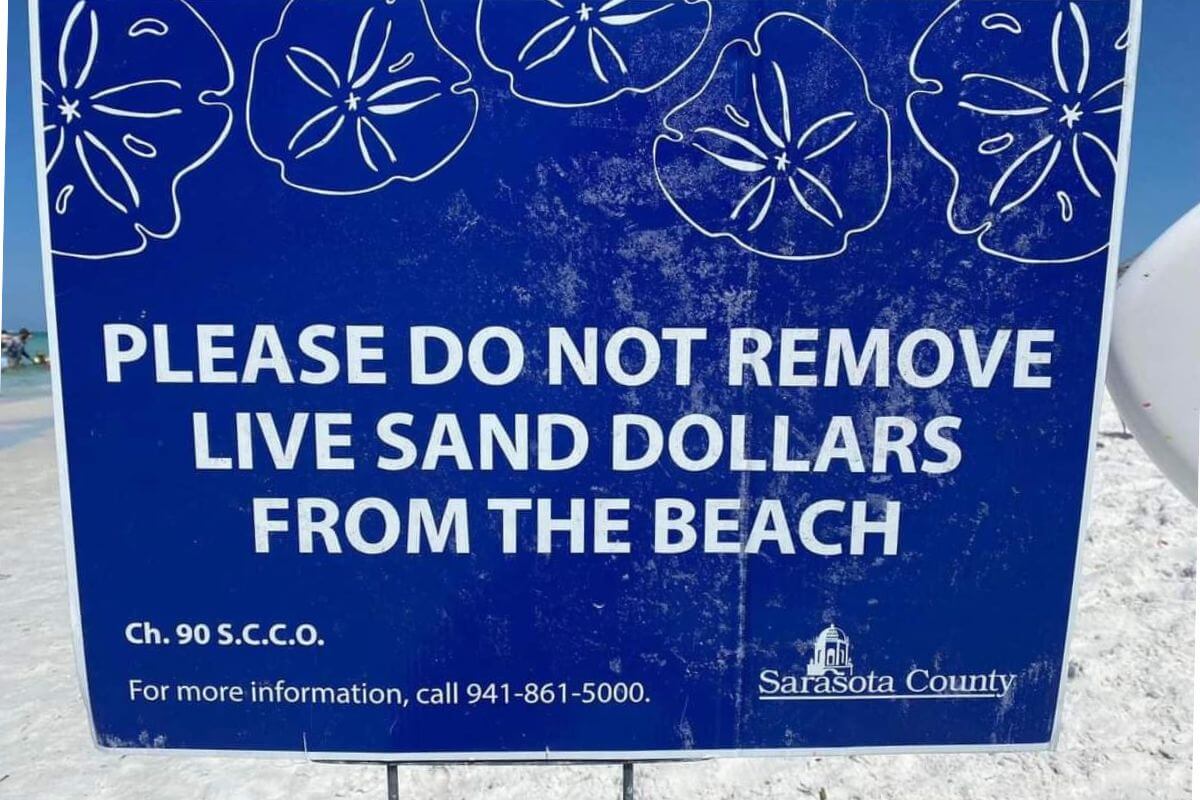 Do Not Remove Live Sand Dollar sign in Sarasota