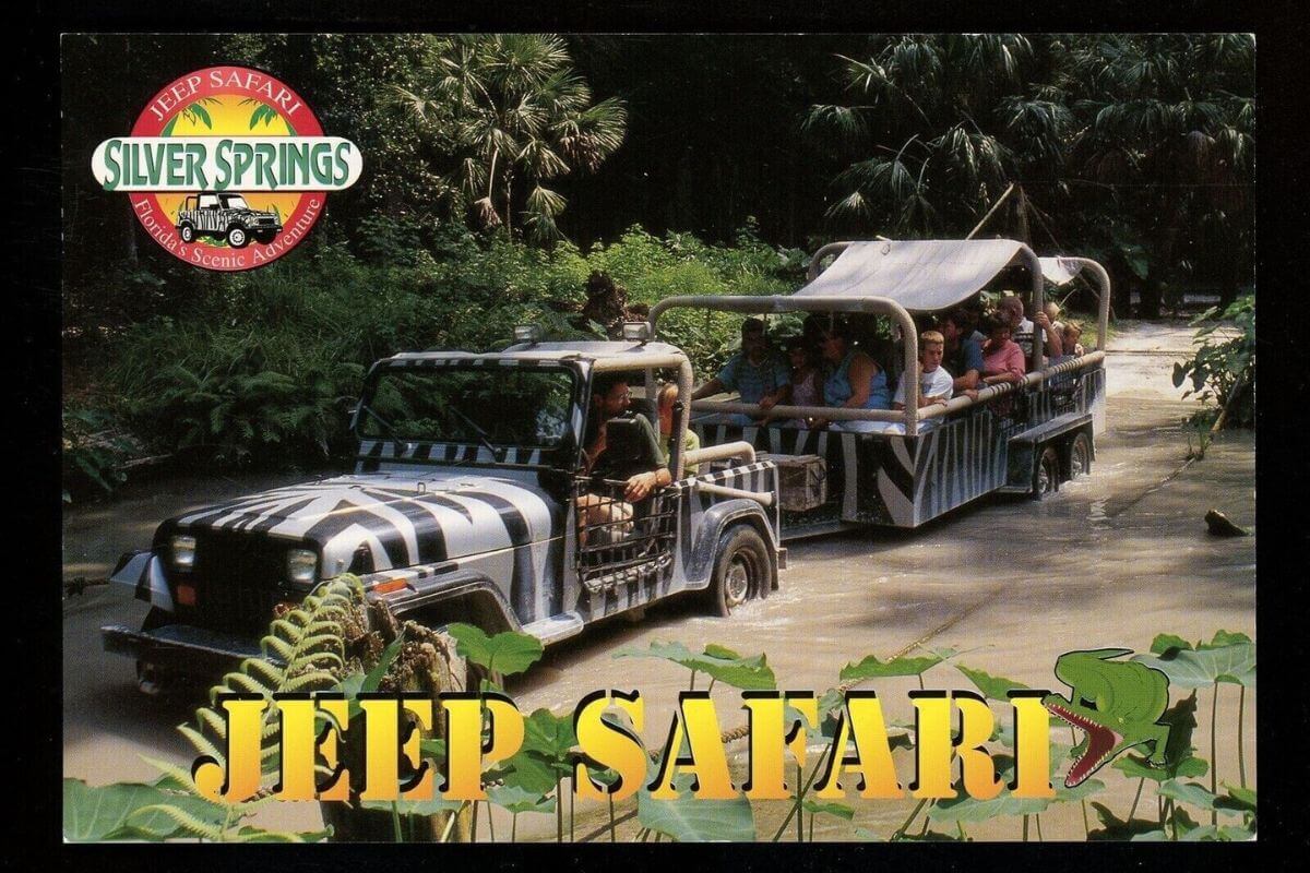Jeep Safari at Silver Springs