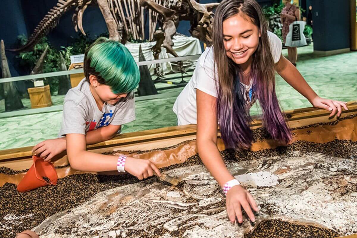 Children digging for fossils at a science museum. 
