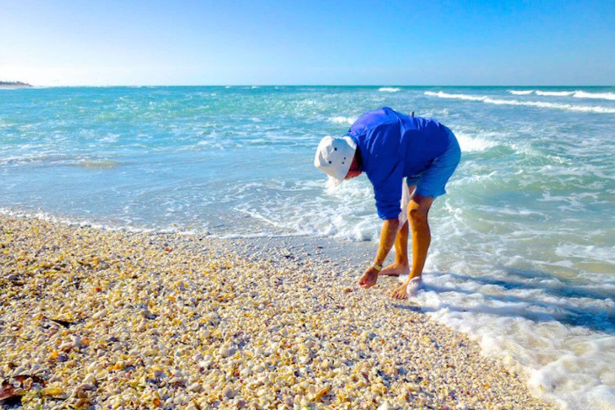 person collecting shells