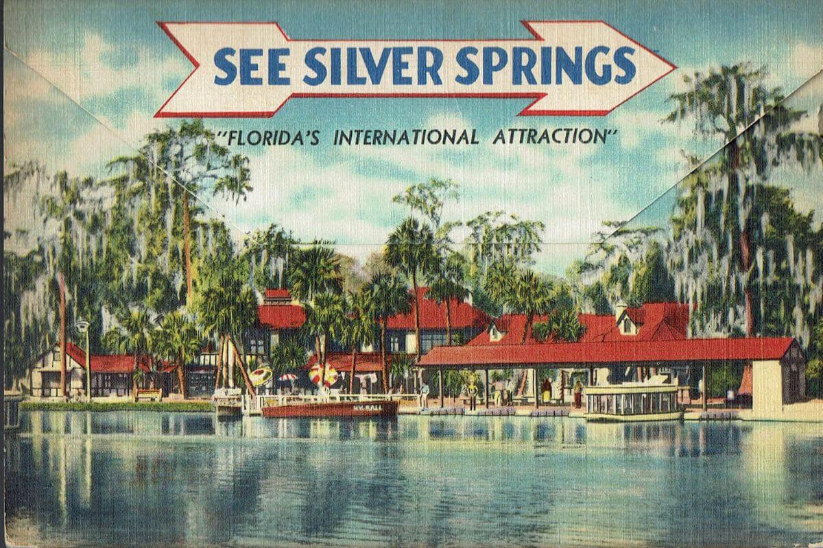 See Silver Springs "Florida's International Attraction" vintage postcard 
