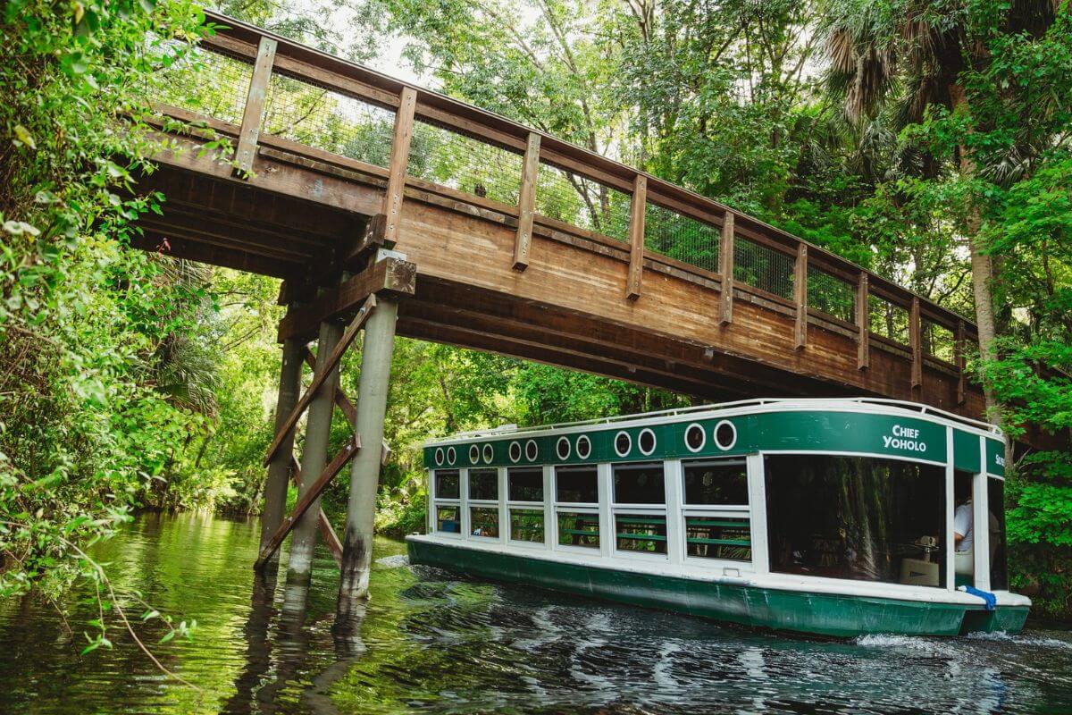 Silver Springs State Park bridge trail and glass bottom boat.