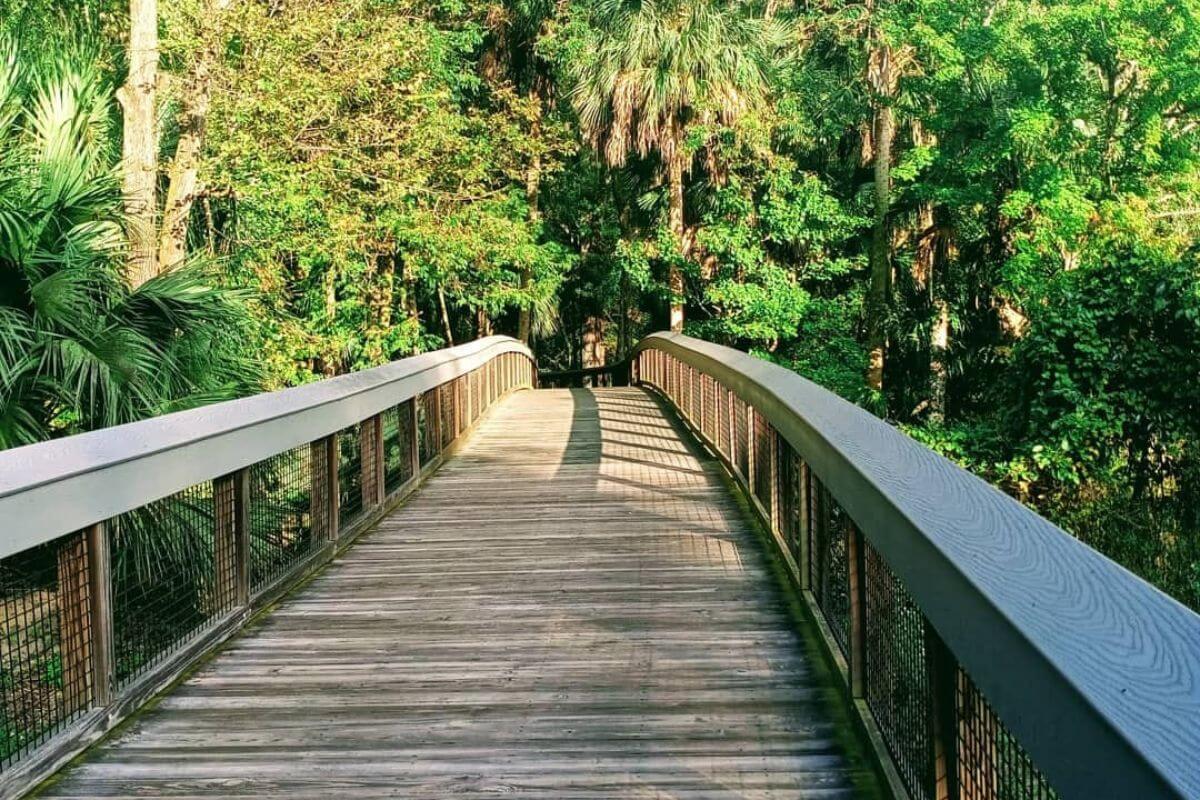 Silver Springs State Park pathway