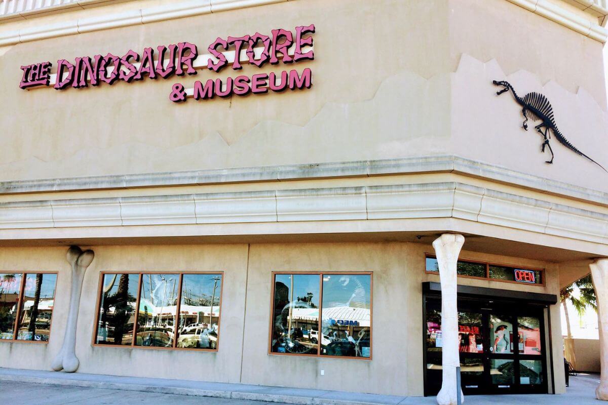 Building exterior with words on the side reading The Dinosaur Store & Museum. 