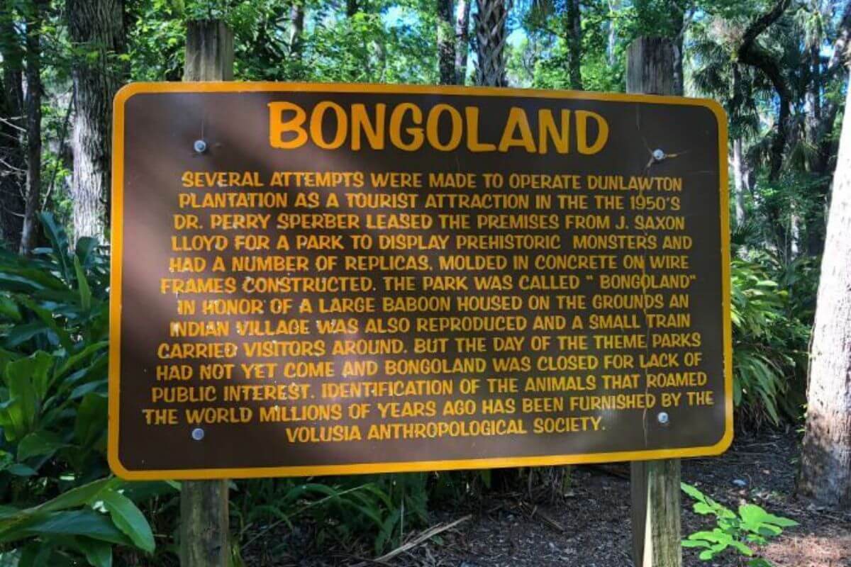 Sign for Bongoland. The sign reads "Bongoland Several Attempts were made to operate Dunlawton Plantation as a tourist attraction in the 1950's Dr. Perry Sperber leased the premises from J. Saxon 