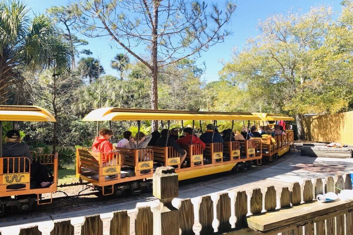 People riding the train at the zoo. 