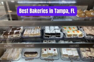 Best Bakeries in Tampa text on an image of a baker case with treats.