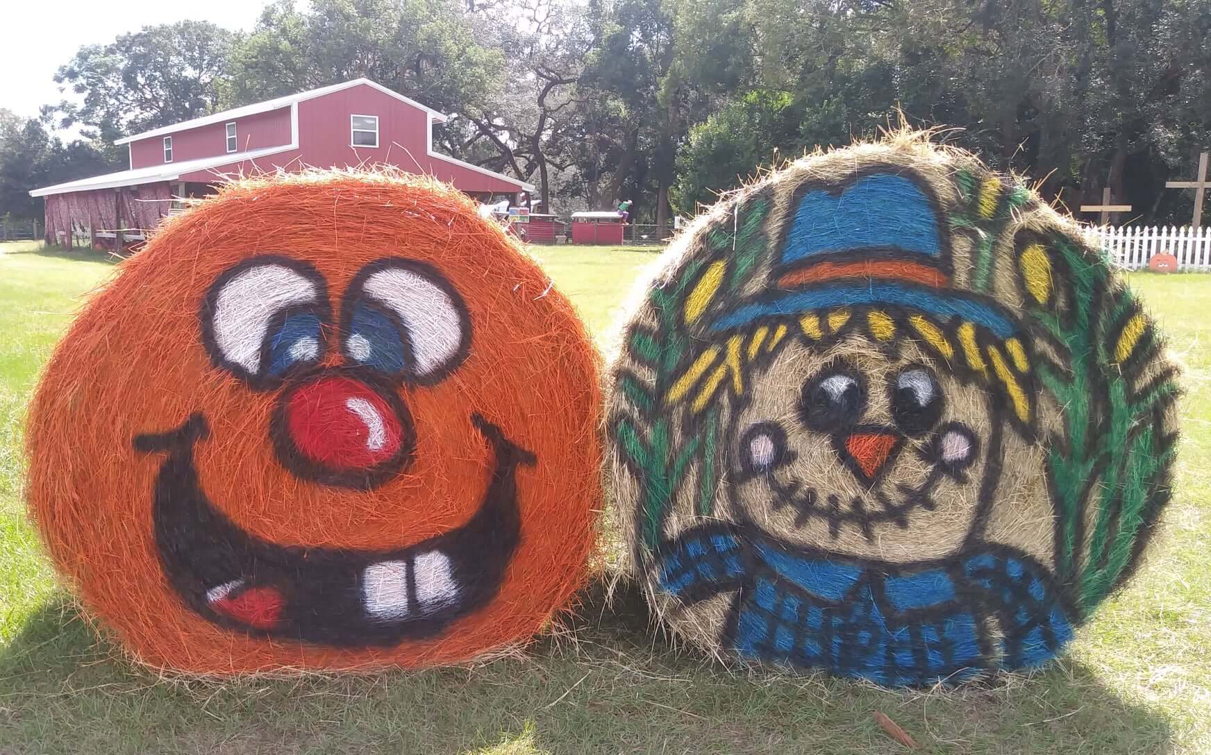 Harvestmoon fun farms