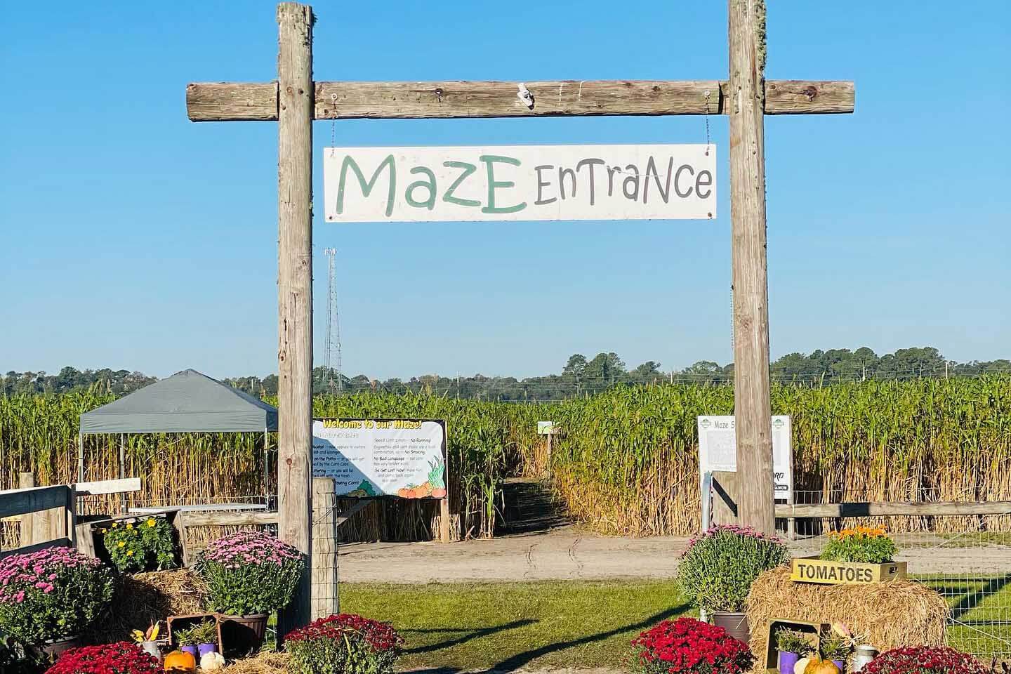 Sykes Family Farms Maze