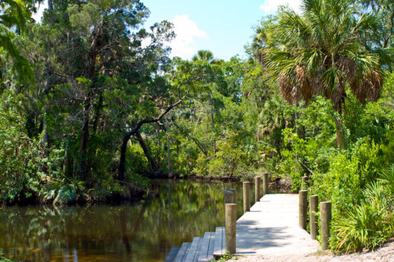 15 Best Things to Do in New Port Richey, FL (2026) • Authentic Florida