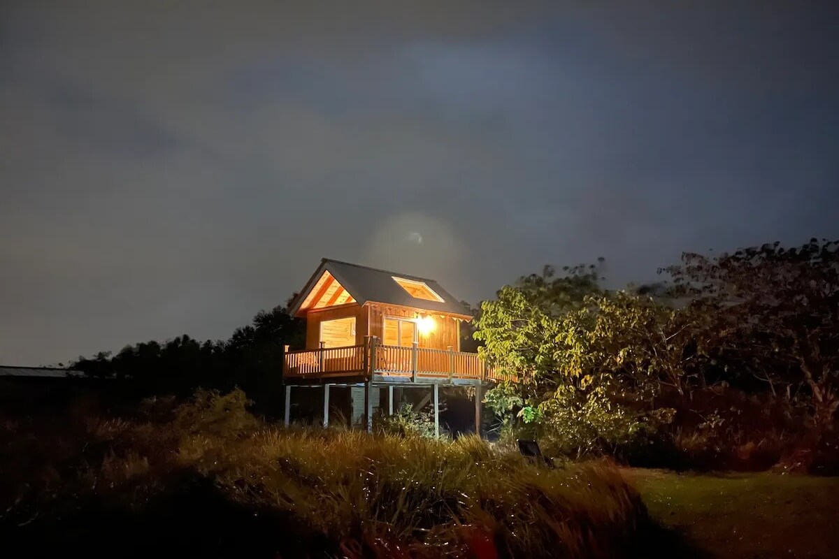 Exterior of a treehouse at night. 