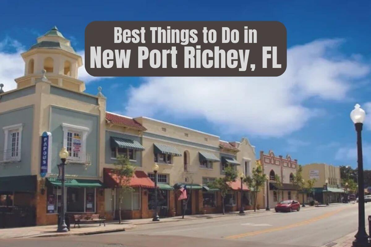 Building in downtown area and the Best Things to Do in New Port Richey FL