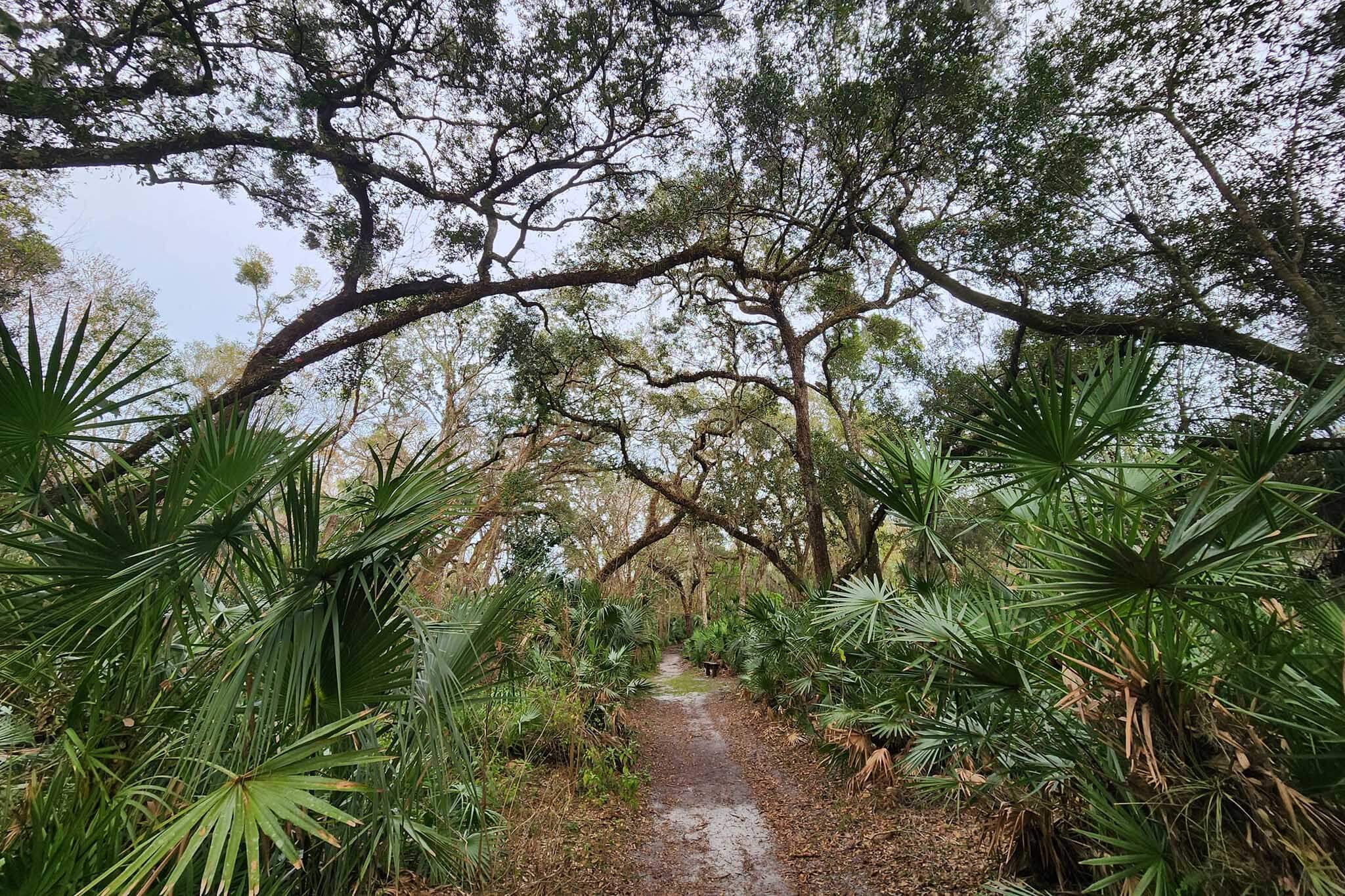 Trail into a nature sanctuary. 
