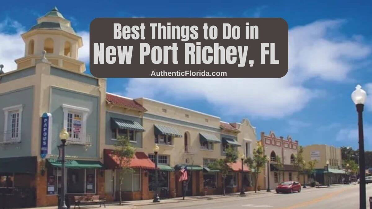 15 Best Things To Do In New Port Richey Fl 2024 • Authentic Florida 1816