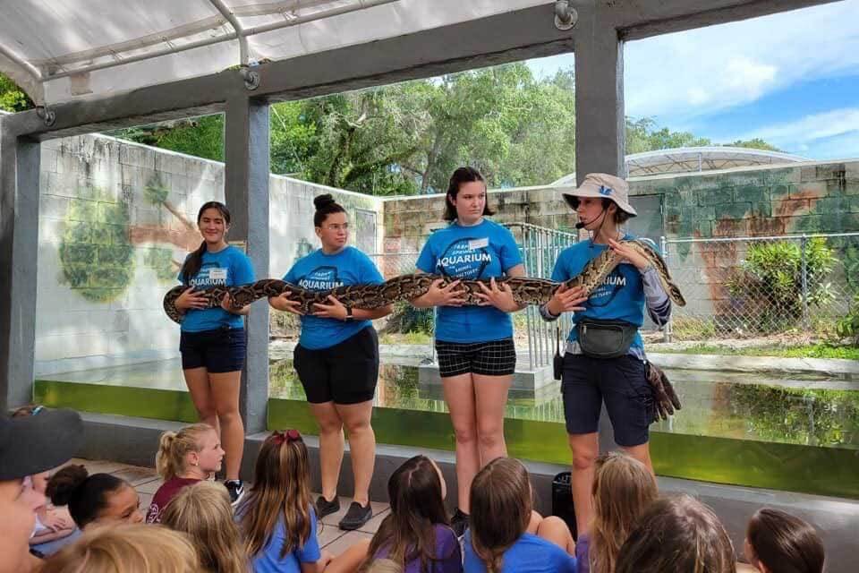 4 keepers holding a large snake at the Tarpon Springs Aquarium.
