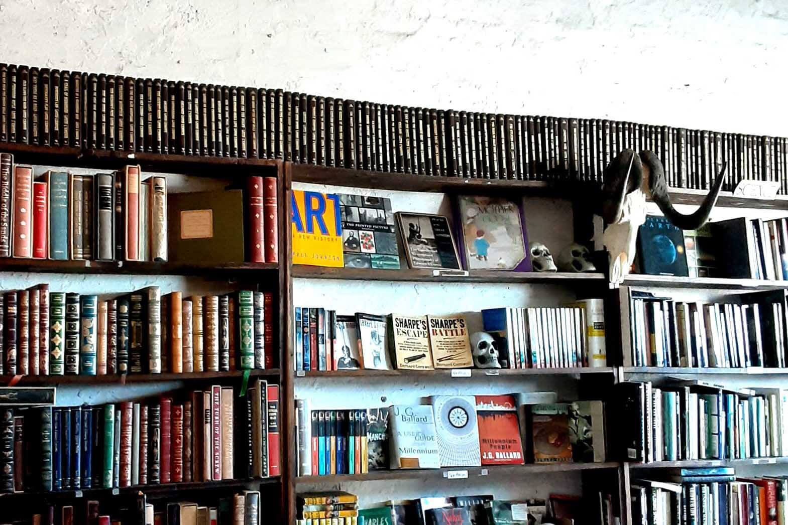 Abraxas Books on the shelf.