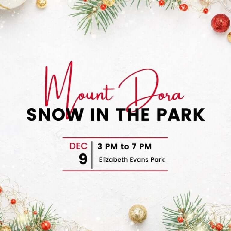 Mount Dora Snow in the Park promotional flyer. 