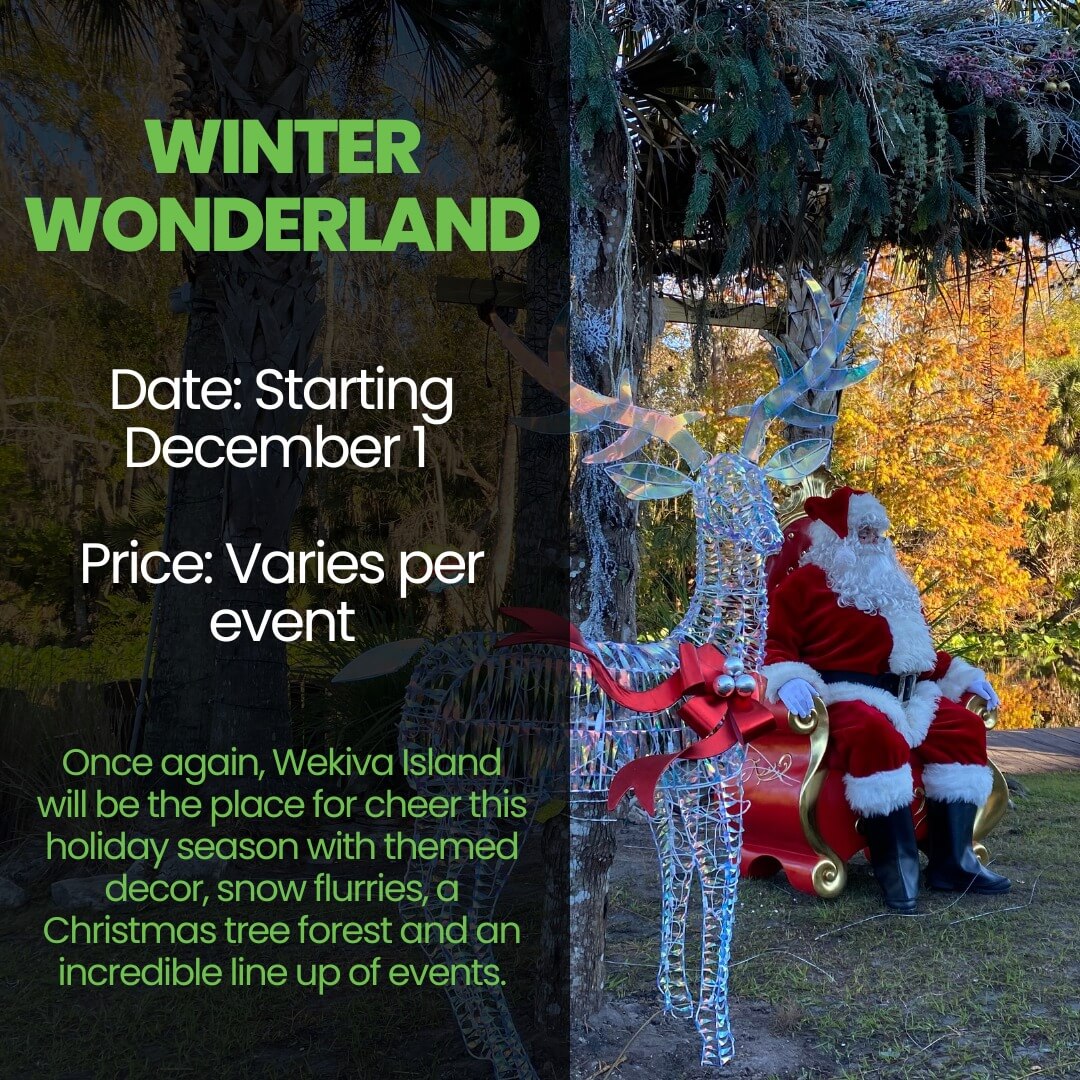 Wekiva Island Winter Wonderland promotional flyer. 