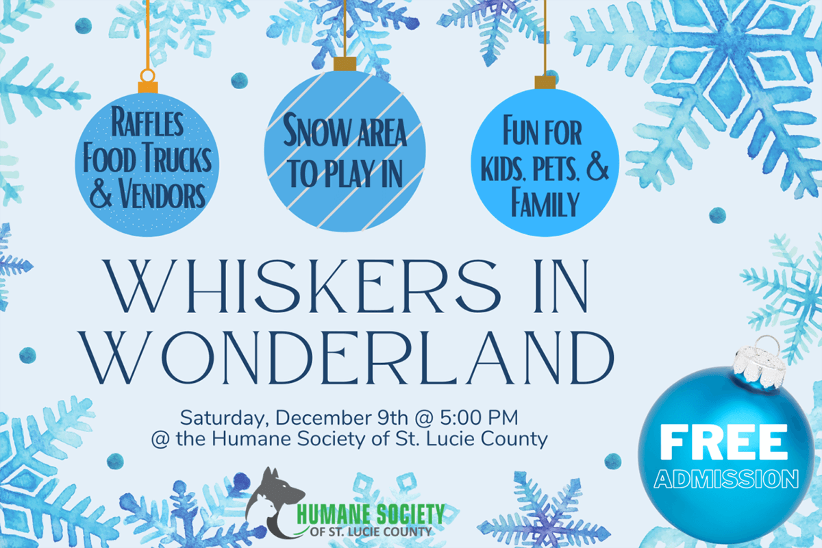 Whiskers in Wonderland Promotional Flyer. 