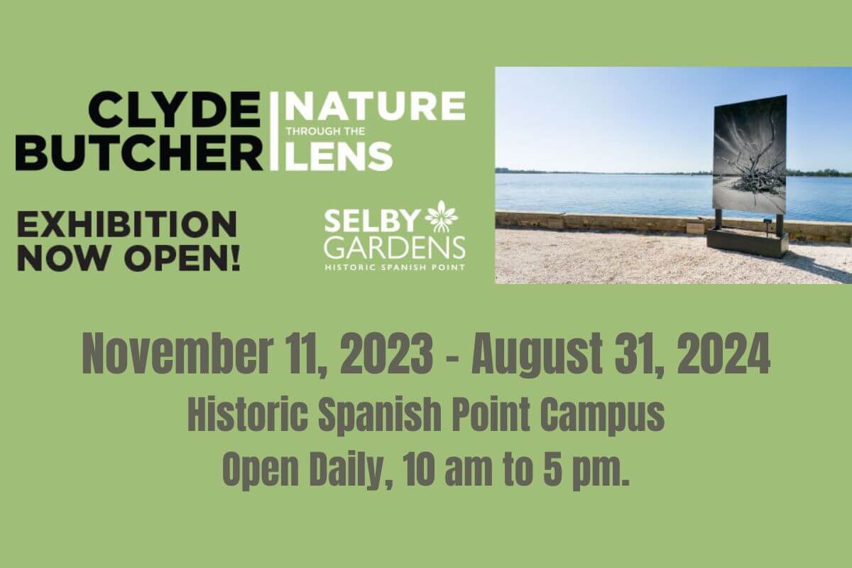 Clyde Butcher, Nature Through the Lens, is on view from November 11, 2023 – August 31, 2024, at Historic Spanish Point campus.