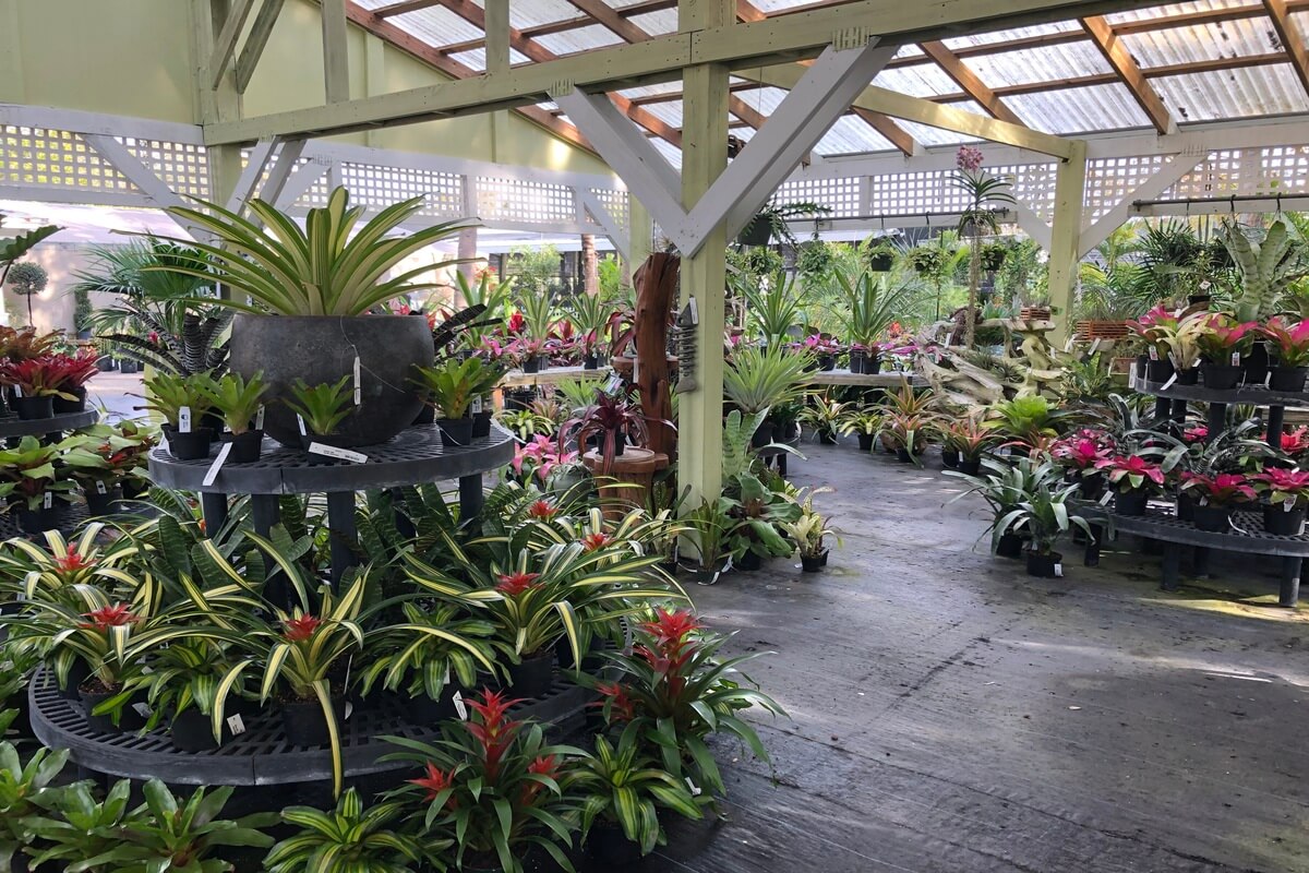 Inside of a garden shop with a variety of plants. 