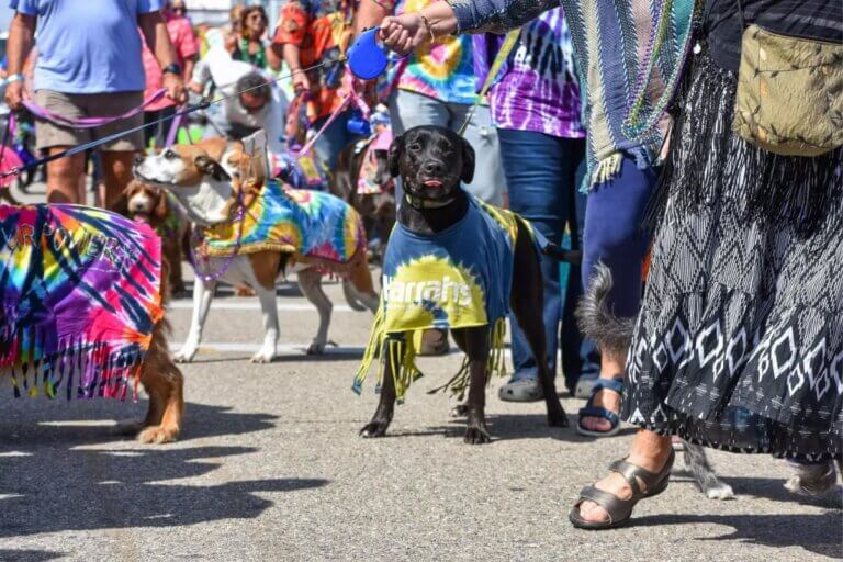 fort walton beach mardi gras parade 2025