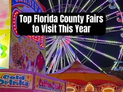 28+ Florida County Fairs to Visit This Year