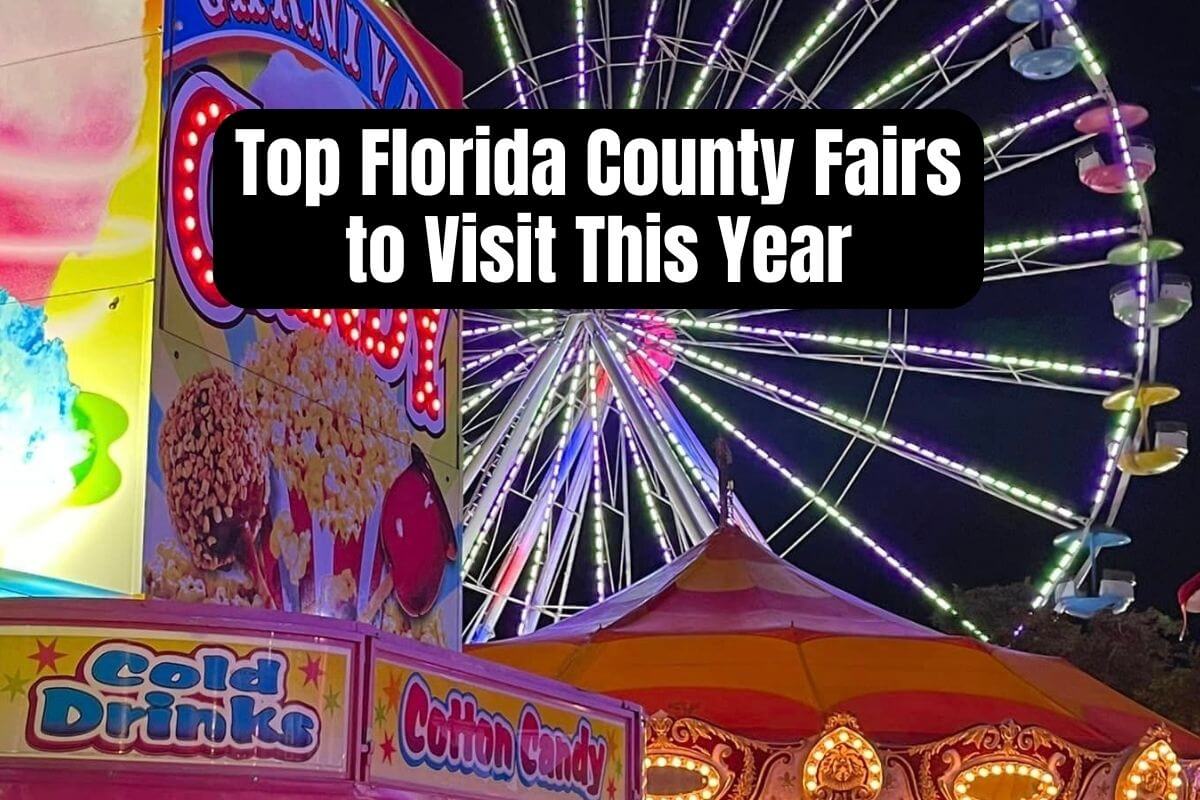 ferris wheel and fair food with Top Florida County Fairs to Visit This Year headline