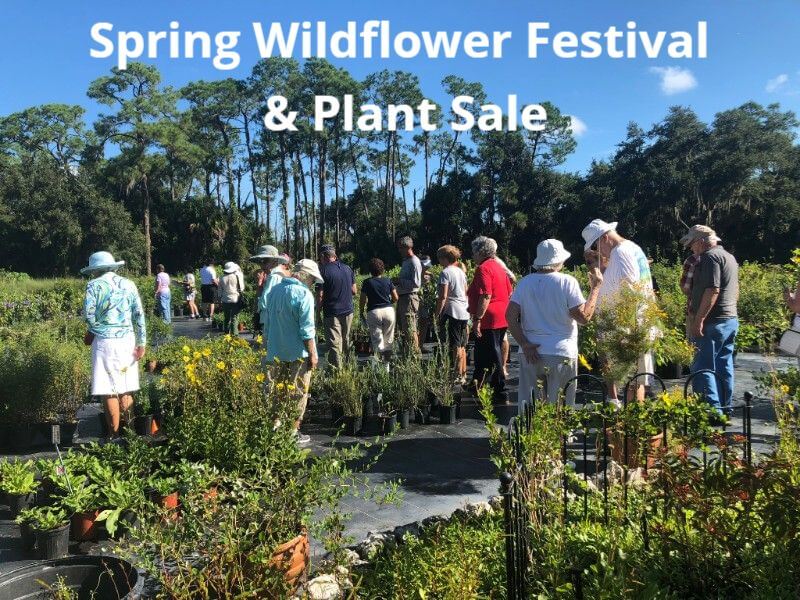 Spring Wildflower Festival and Plant Sale
