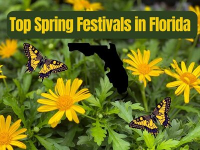 17 Top Spring Festivals in Florida (2024)