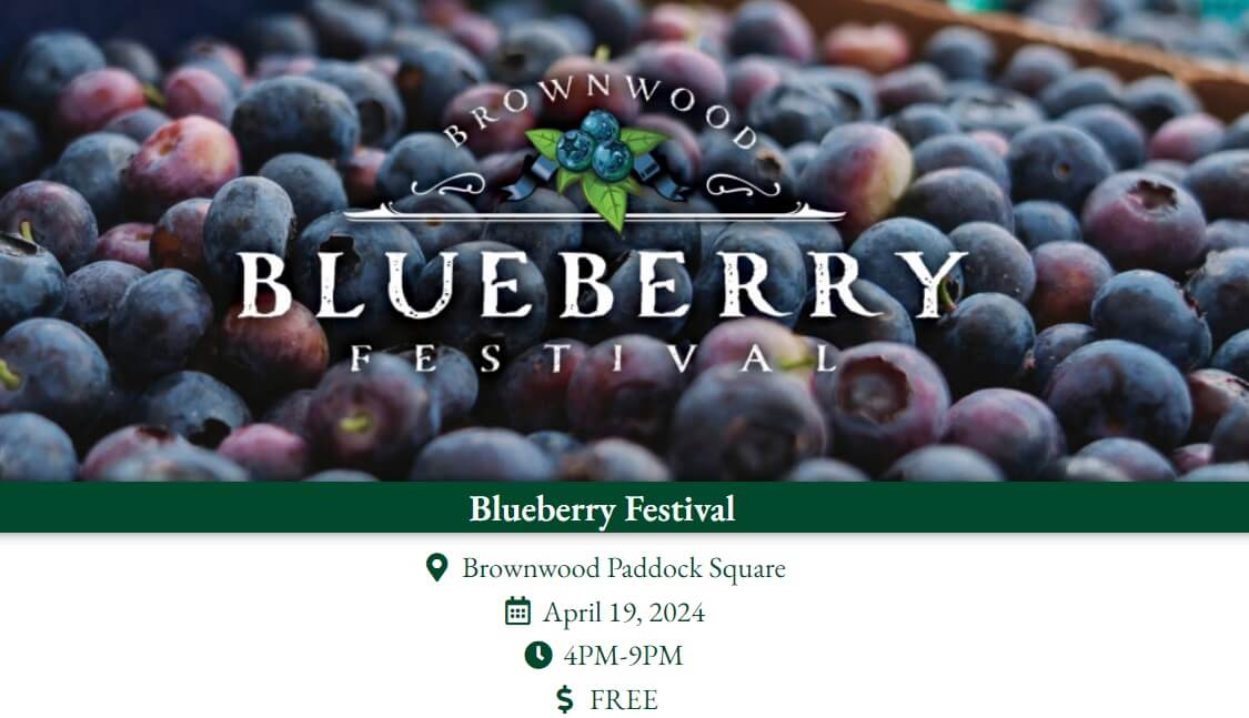 Brownwood Blueberry Festival Promotional Flyer
