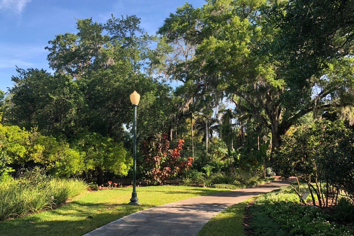 Leu Gardens walkway in Orlando, Mother's Day