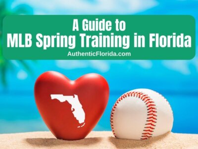 A Guide to MLB Spring Training in Florida (2024)