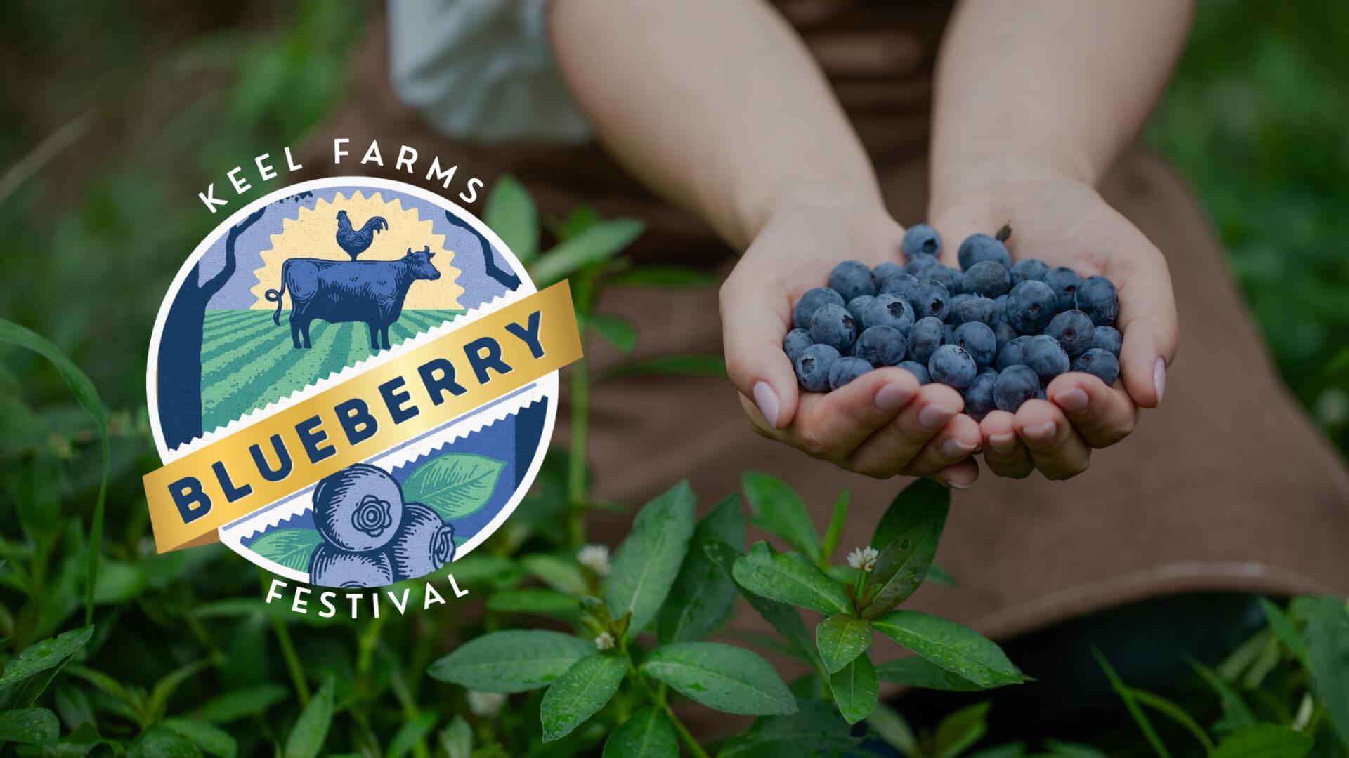 Keel Farms Blueberry Festival