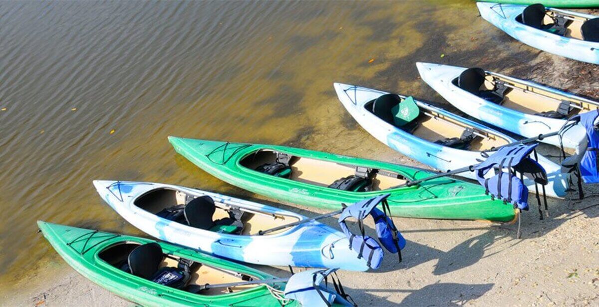 kayak rentals