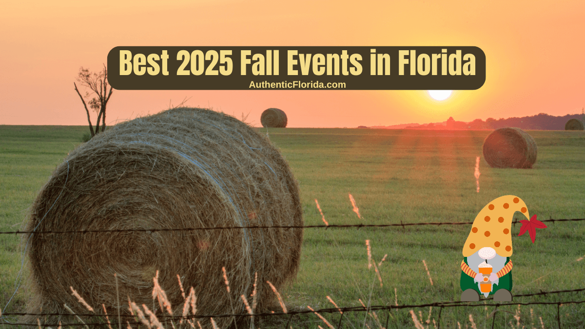 Best Fall Events in Florida - 2026 Edition • Authentic Florida