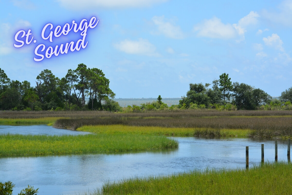 12 Best Things to Do in Carrabelle, Florida (2025) • Authentic Florida