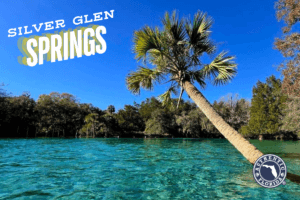 Silver Glen Springs Recreation Area + Nearby Things to Do • Authentic