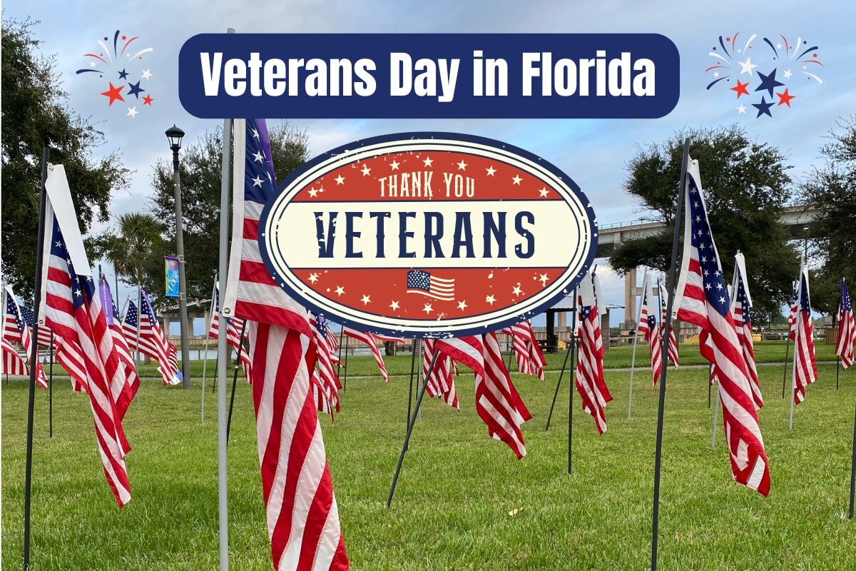 Veterans day events