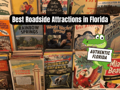 A Guide to the Best Florida Roadside Attractions