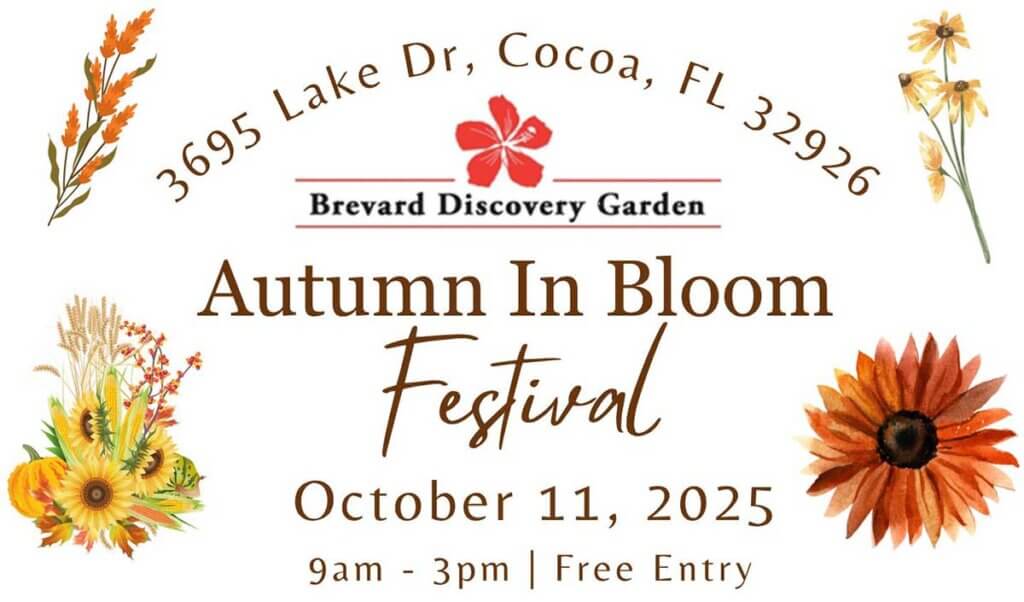 Best Fall Events in Florida – 2026 Edition