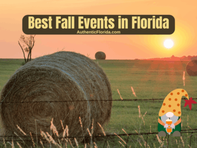 Best Fall Events in Florida – 2026 Edition