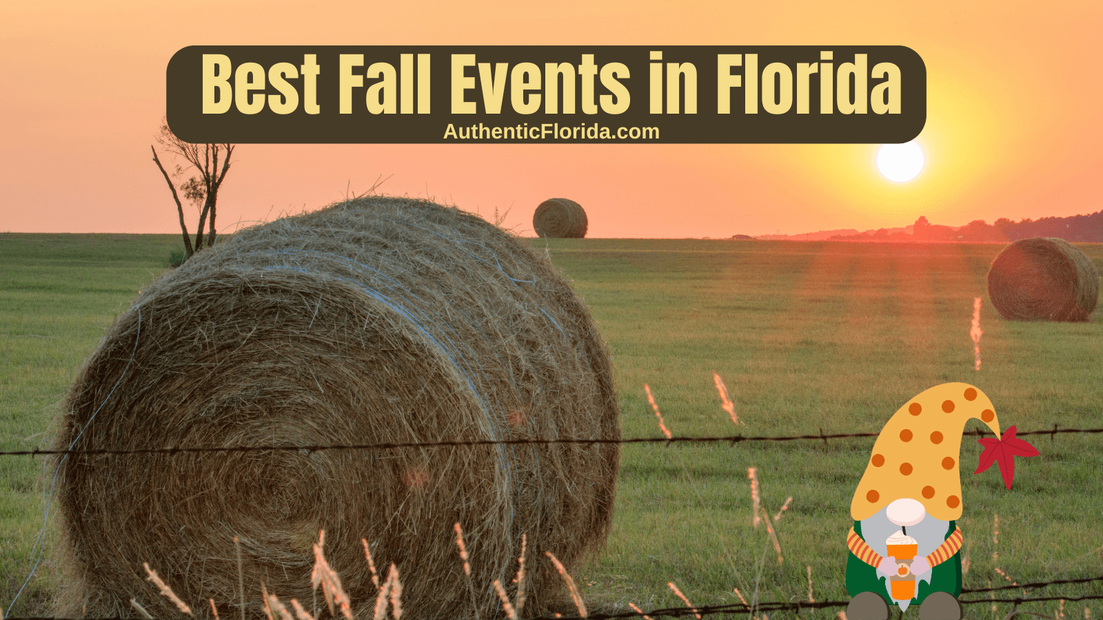 Best Fall Events in Florida – 2026 Edition