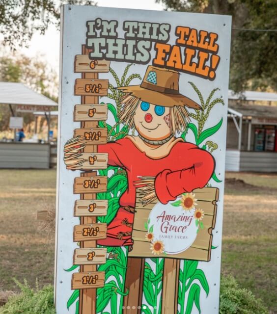 Best Fall Events in Florida – 2026 Edition